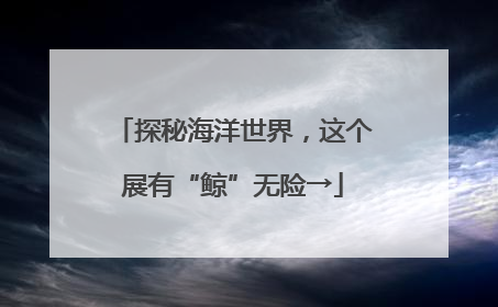 探秘海洋世界，这个展有“鲸”无险→