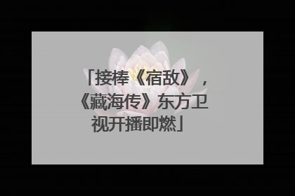 接棒《宿敌》，《藏海传》东方卫视开播即燃