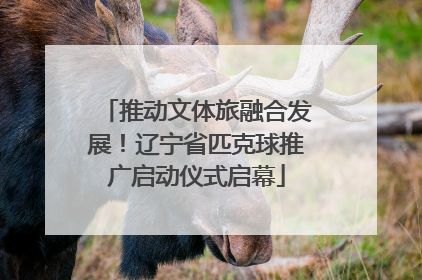 推动文体旅融合发展！辽宁省匹克球推广启动仪式启幕
