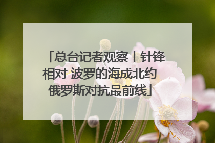 总台记者观察丨针锋相对 波罗的海成北约俄罗斯对抗最前线