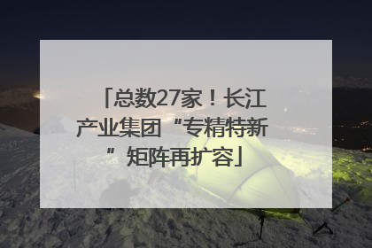 总数27家！长江产业集团“专精特新”矩阵再扩容