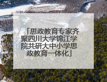 思政教育专家齐聚四川大学锦江学院共研大中小学思政教育一体化