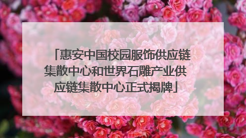 惠安中国校园服饰供应链集散中心和世界石雕产业供应链集散中心正式揭牌