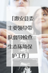惠安县委主要领导带队督导检查生态环境保护工作