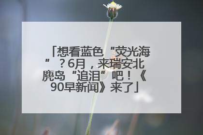 想看蓝色“荧光海”？6月，来瑞安北麂岛“追泪”吧！《90早新闻》来了