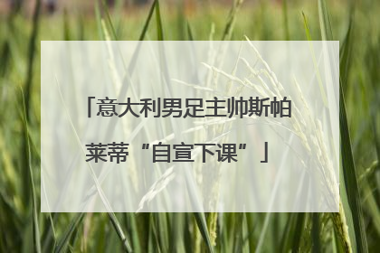 意大利男足主帅斯帕莱蒂“自宣下课”