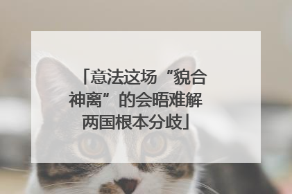 意法这场“貌合神离”的会晤难解两国根本分歧