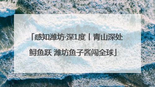 感知潍坊·深1度丨青山深处鲟鱼跃 潍坊鱼子酱闯全球
