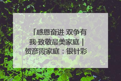 感恩奋进 双争有我·致敬最美家庭｜贺彦霞家庭：银针彩线绣出好日子