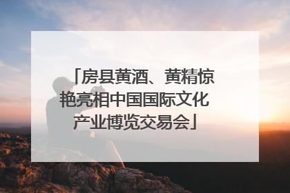 房县黄酒、黄精惊艳亮相中国国际文化产业博览交易会