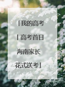 我的高考丨高考首日 海南家长花式送考