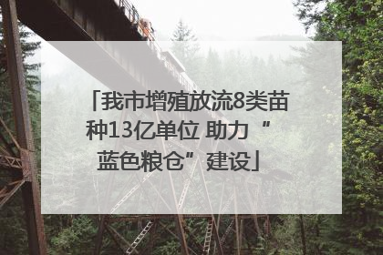 我市增殖放流8类苗种13亿单位 助力“蓝色粮仓”建设