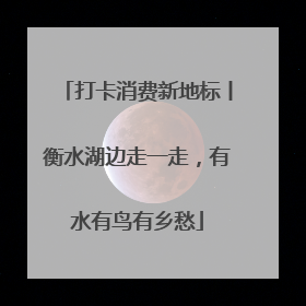 打卡消费新地标丨衡水湖边走一走，有水有鸟有乡愁