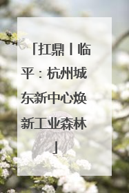 扛鼎丨临平：杭州城东新中心焕新工业森林