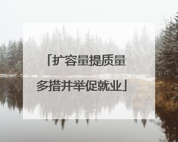 扩容量提质量 多措并举促就业