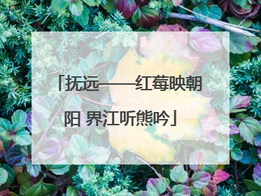 抚远——红莓映朝阳 界江听熊吟