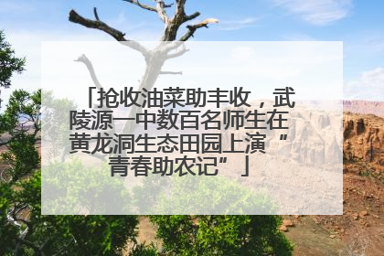 抢收油菜助丰收，武陵源一中数百名师生在黄龙洞生态田园上演“青春助农记”