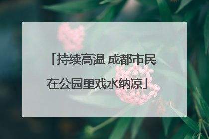 持续高温 成都市民在公园里戏水纳凉