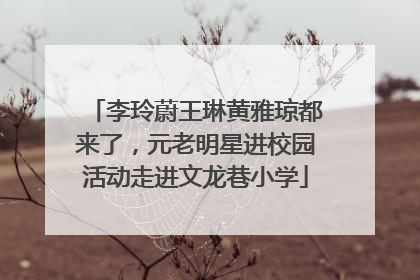 李玲蔚王琳黄雅琼都来了，元老明星进校园活动走进文龙巷小学