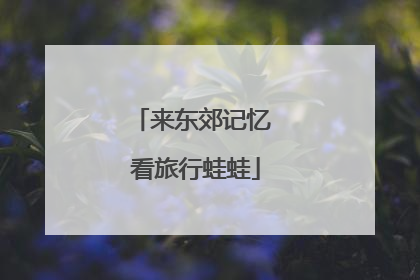 来东郊记忆 看旅行蛙蛙