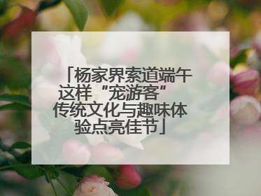 杨家界索道端午这样“宠游客” 传统文化与趣味体验点亮佳节