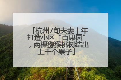 杭州7旬夫妻十年打造小区“百果园”，两棵猕猴桃树结出上千个果子