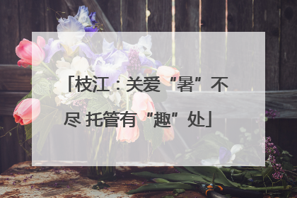 枝江：关爱“暑”不尽 托管有“趣”处