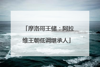摩洛哥王储：阿拉维王朝低调继承人