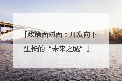 政策面对面：开发向下生长的“未来之城”