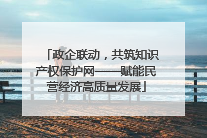 政企联动，共筑知识产权保护网——赋能民营经济高质量发展