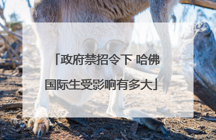 政府禁招令下 哈佛国际生受影响有多大