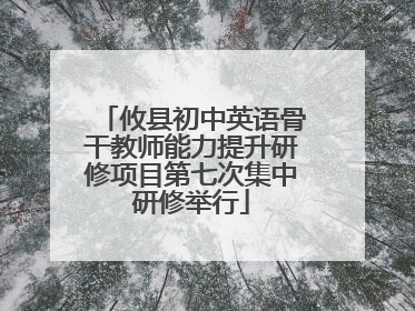 攸县初中英语骨干教师能力提升研修项目第七次集中研修举行
