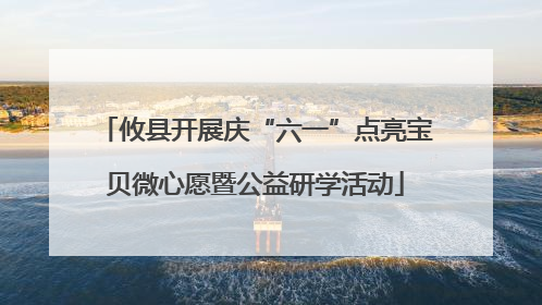 攸县开展庆“六一”点亮宝贝微心愿暨公益研学活动