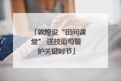 敦煌设“田间课堂” 送技葡萄管护关键时节
