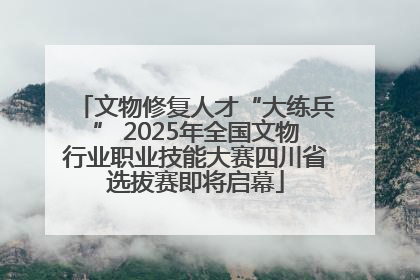 文物修复人才“大练兵” 2025年全国文物行业职业技能大赛四川省选拔赛即将启幕