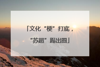 文化“梗”打底，“苏超”踢出圈