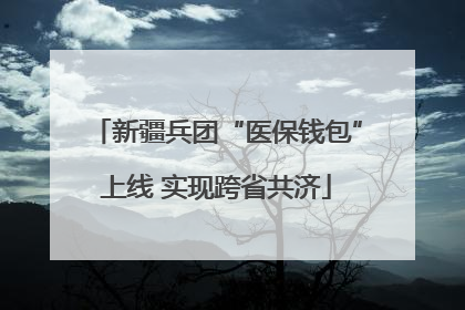 新疆兵团“医保钱包”上线 实现跨省共济