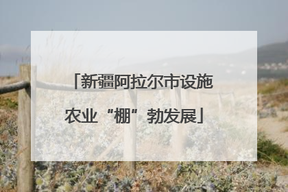 新疆阿拉尔市设施农业“棚”勃发展