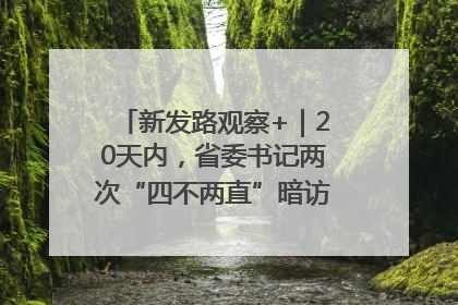 新发路观察+｜20天内，省委书记两次“四不两直”暗访，有何深意？