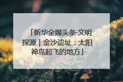 新华全媒头条·文明探源｜金沙遗址：太阳神鸟起飞的地方