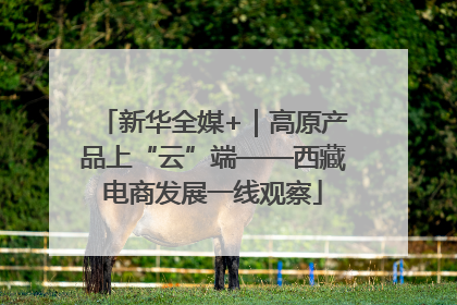 新华全媒+｜高原产品上“云”端——西藏电商发展一线观察