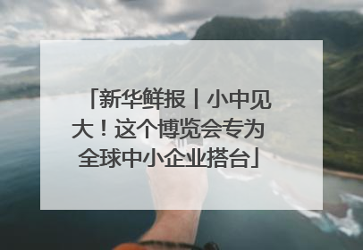 新华鲜报丨小中见大！这个博览会专为全球中小企业搭台