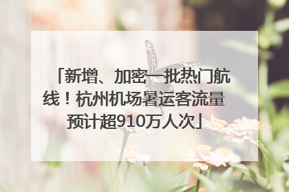新增、加密一批热门航线！杭州机场暑运客流量预计超910万人次