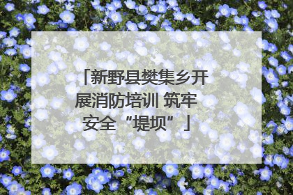 新野县樊集乡开展消防培训 筑牢安全“堤坝”