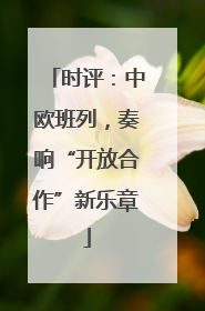 时评：中欧班列，奏响“开放合作”新乐章