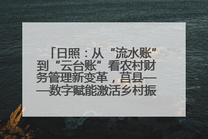 日照：从“流水账”到“云台账”看农村财务管理新变革，莒县——数字赋能激活乡村振兴“一池春水”