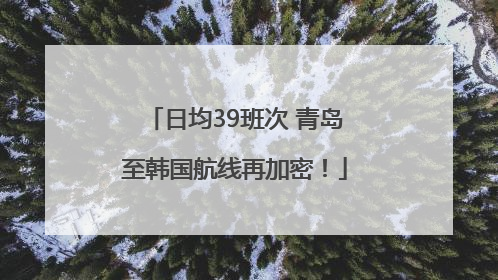 日均39班次 青岛至韩国航线再加密！