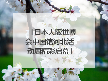 日本大阪世博会中国馆河北活动周精彩启幕