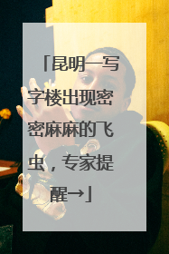 昆明一写字楼出现密密麻麻的飞虫，专家提醒→