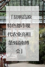 昆明高原特色都市现代农业亮相第9届南博会